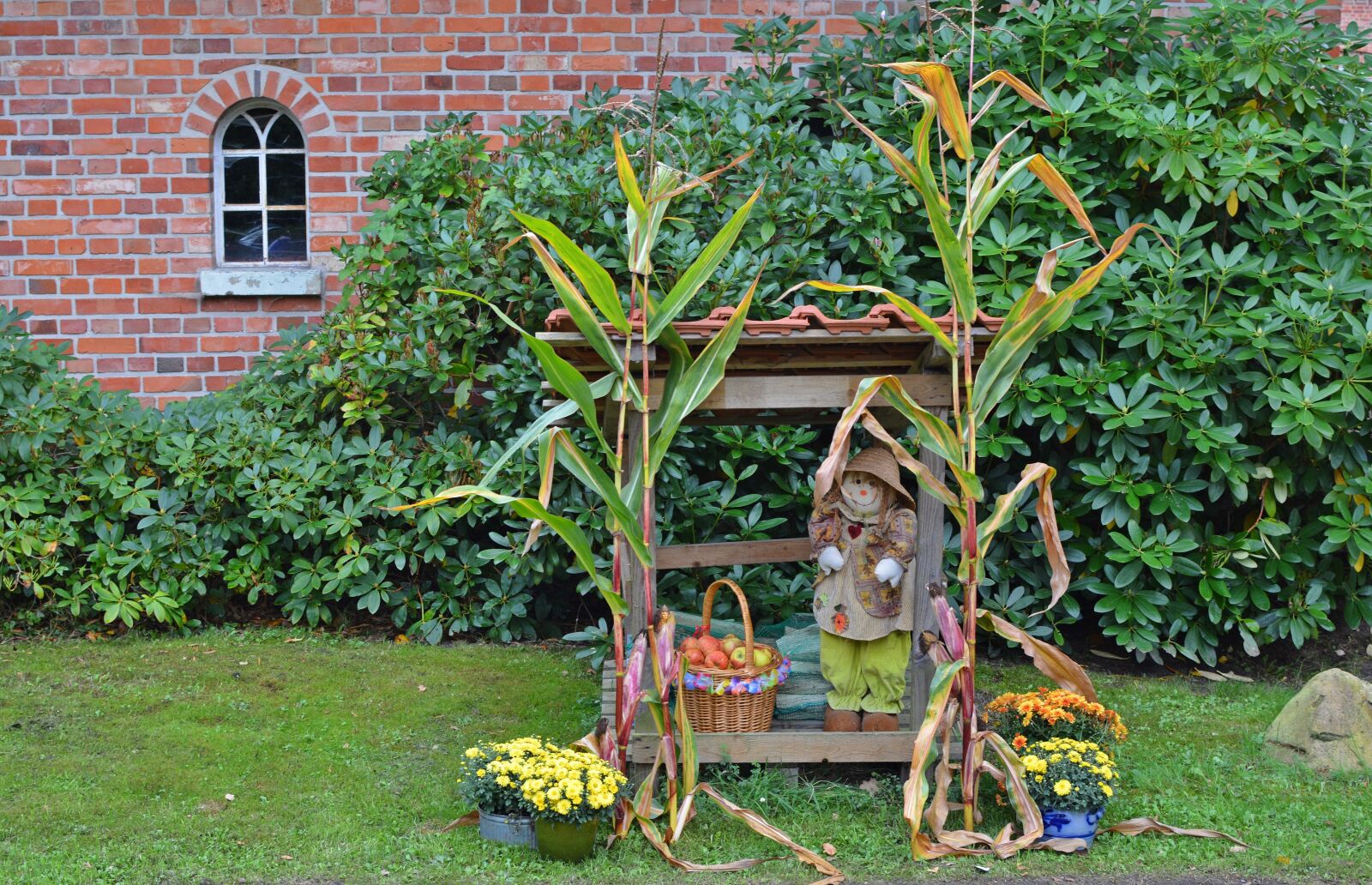 Nikon D5200 sample photo. Thanksgiving, decoration, harvest festival photography