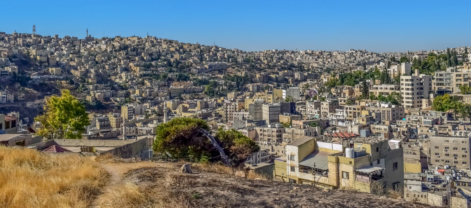 Nikon D3300 sample photo. Amman, jordan, city photography