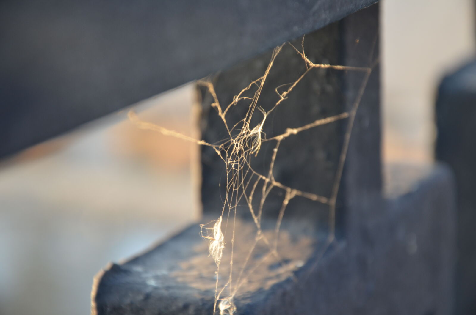 Nikon D5100 sample photo
