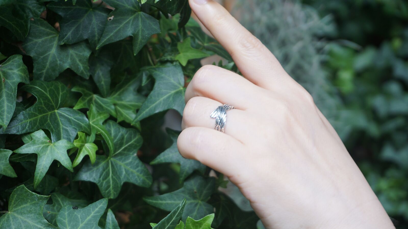 Sony a6000 sample photo. Hand, ring, green plants photography