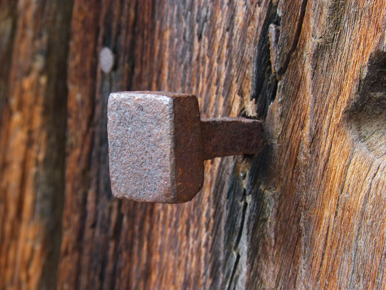 Panasonic DMC-FZ62 sample photo. Nail, old, rusty photography