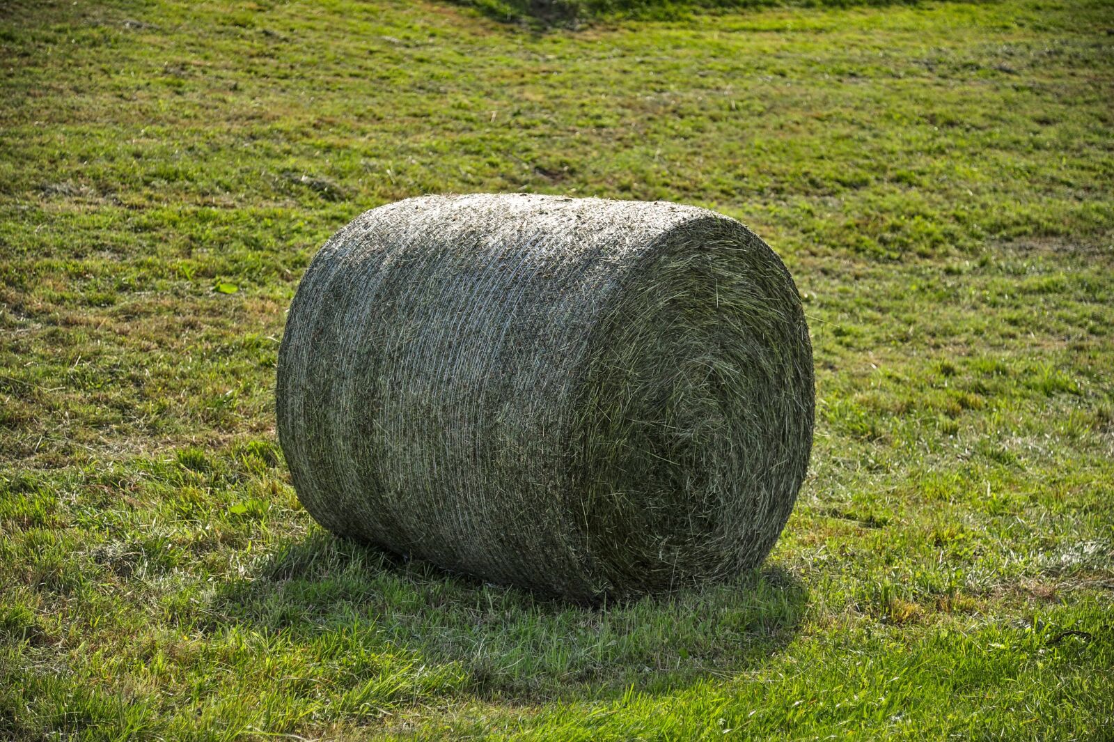 Nikon D700 sample photo. Heurundballen, meadow, hay bales photography