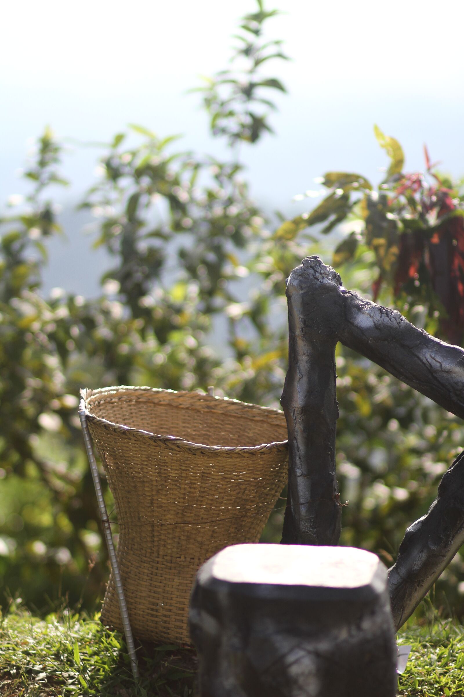 Canon EOS 7D sample photo. Basket, hill, banderban photography