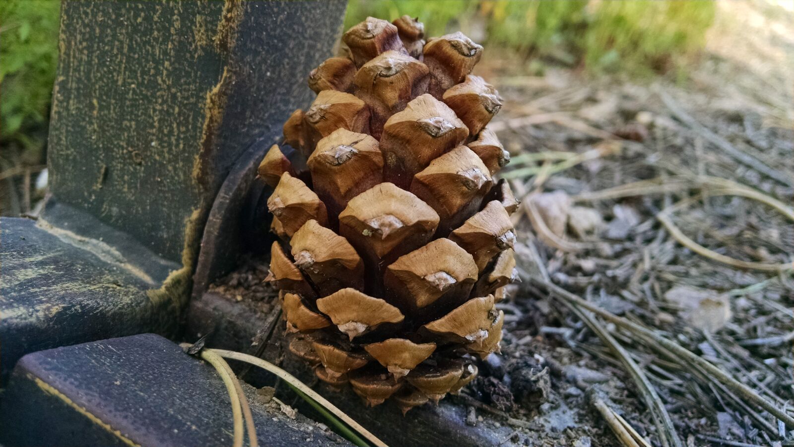Motorola XT1080 sample photo