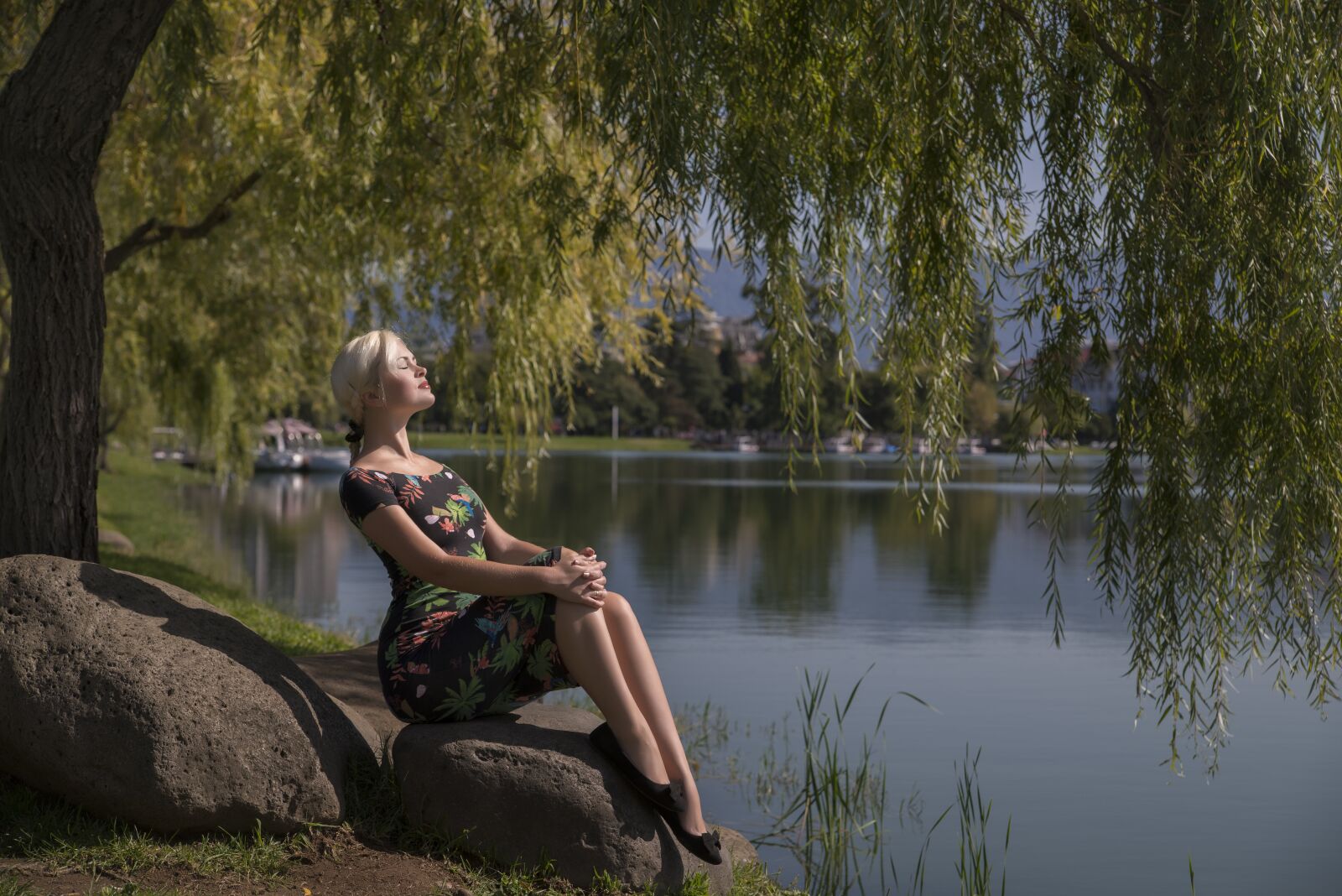 Nikon D800 sample photo. Georgia, batumi, willow weeping photography
