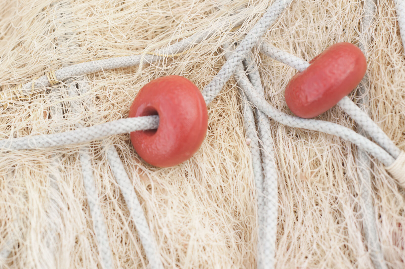 Nikon AF Nikkor 50mm F1.8D sample photo. Cordage, details, fishing, net photography