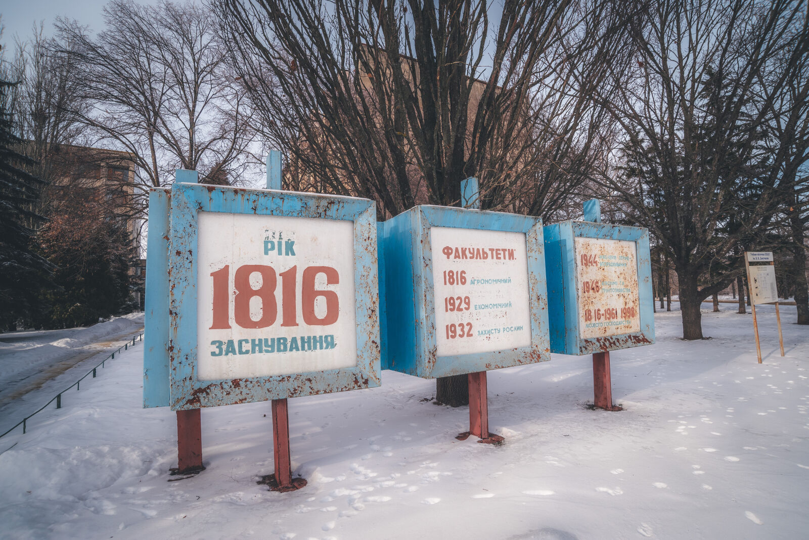 Nikon D750 sample photo