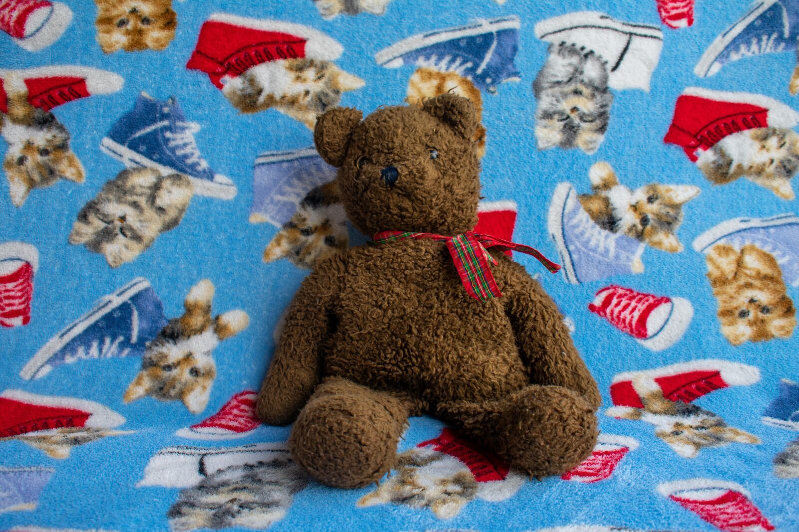Nikon D3400 sample photo. Coffee teddy, teddy bear photography