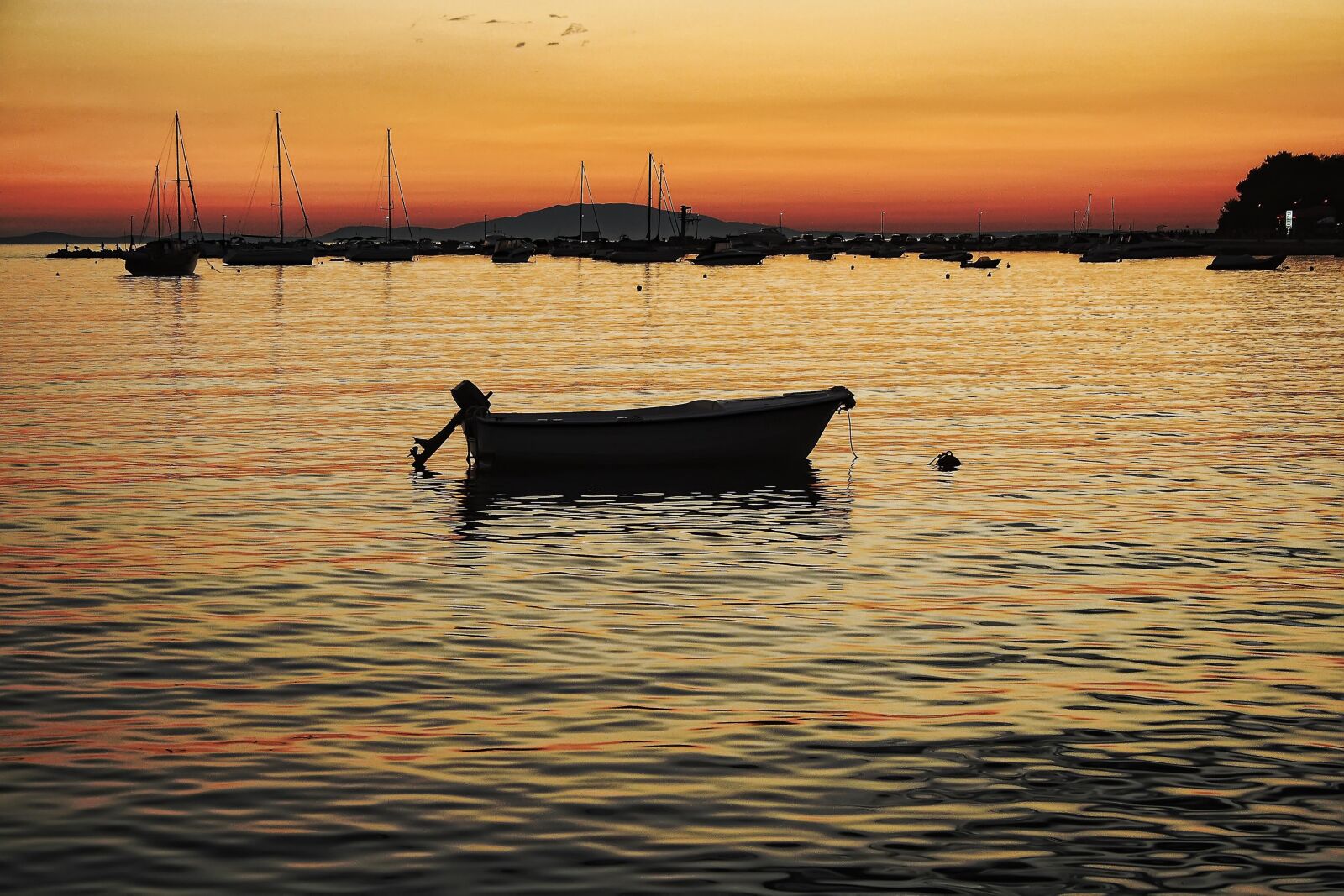 Canon EOS 1000D (EOS Digital Rebel XS / EOS Kiss F) sample photo. Pag, croatia, summer photography