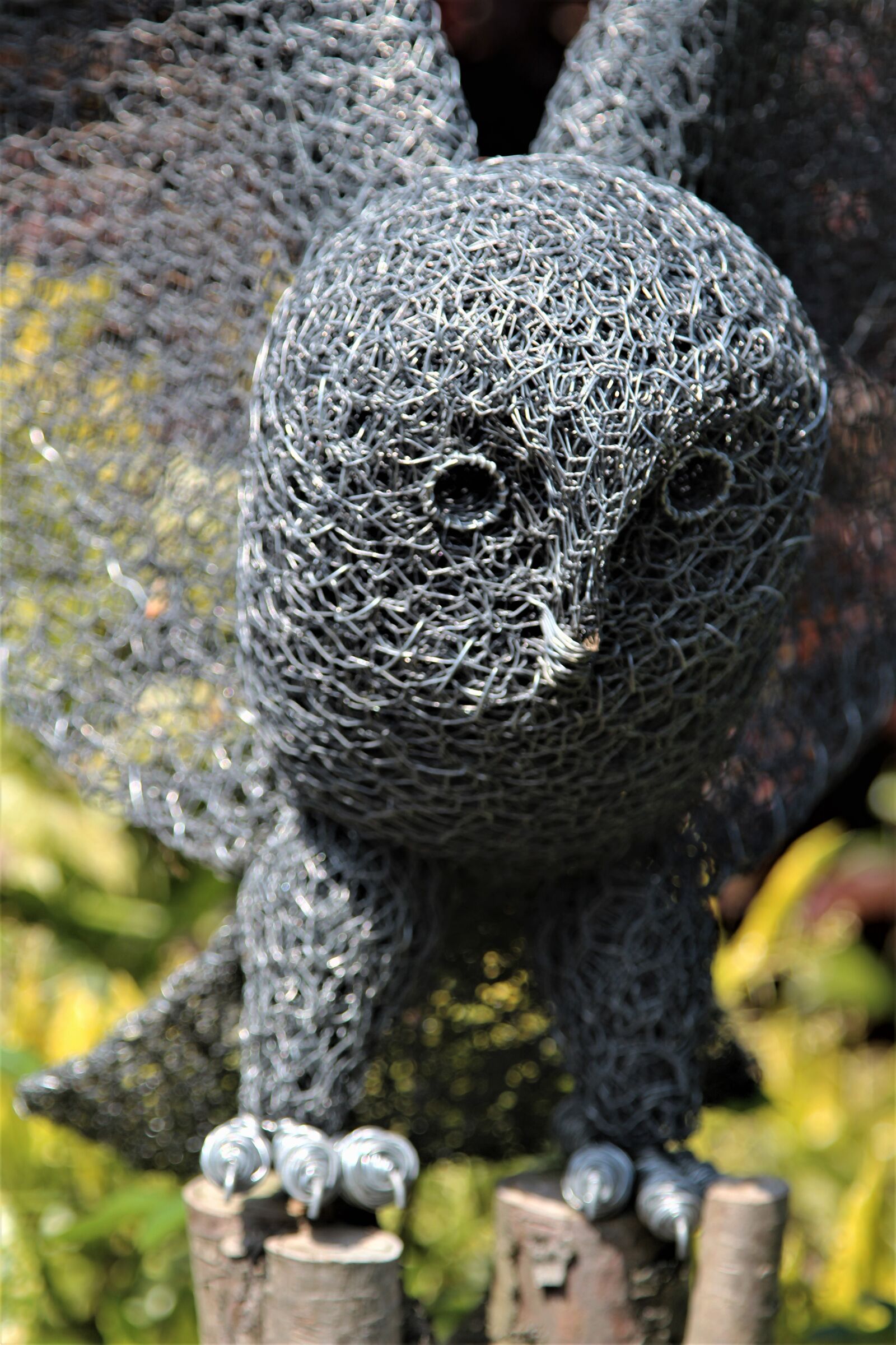 Canon EOS 1300D (EOS Rebel T6 / EOS Kiss X80) + Canon EF 24-105mm F4L IS USM sample photo. Sculpture, owl, wire photography