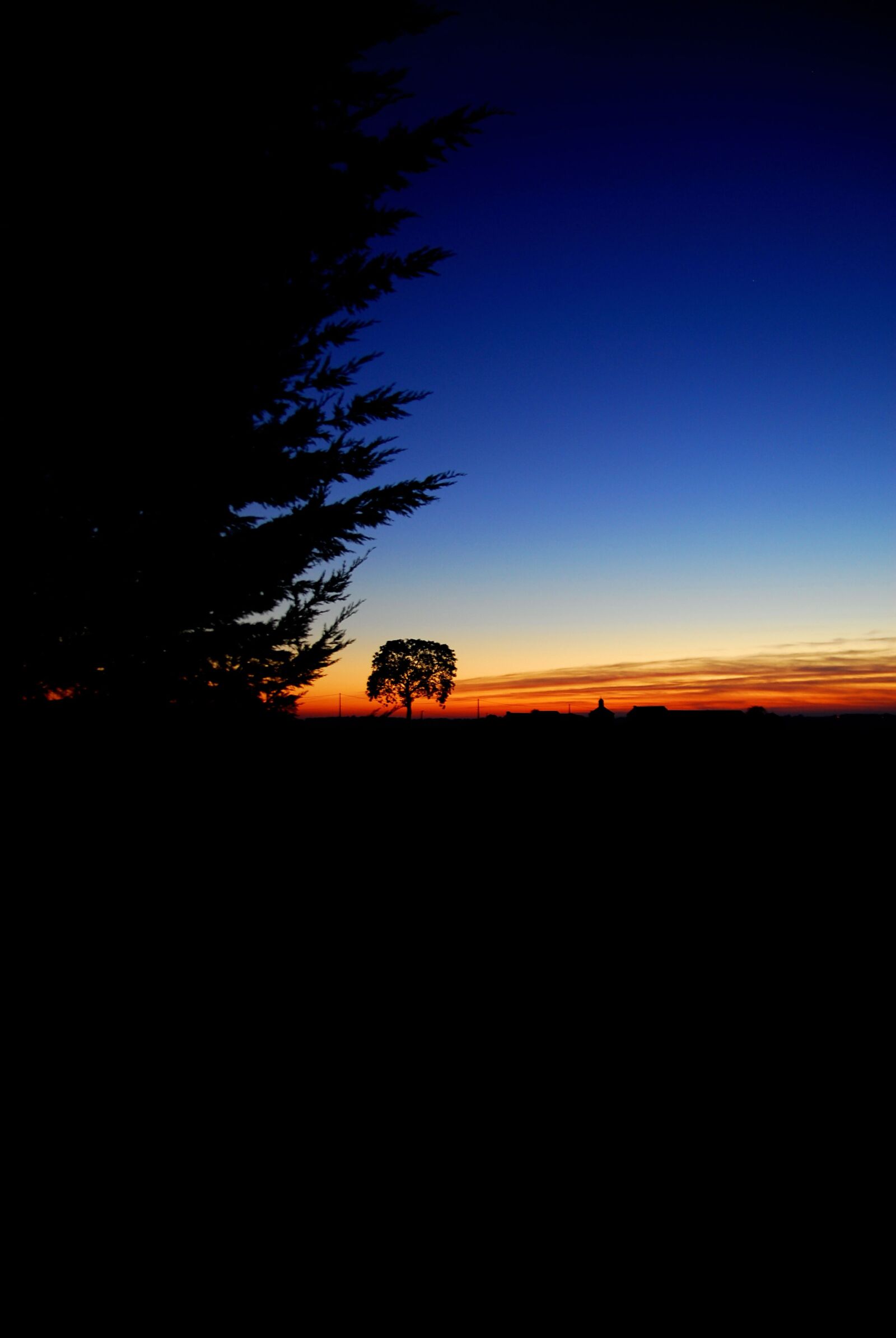 Nikon D200 sample photo. Sunset, night, field photography