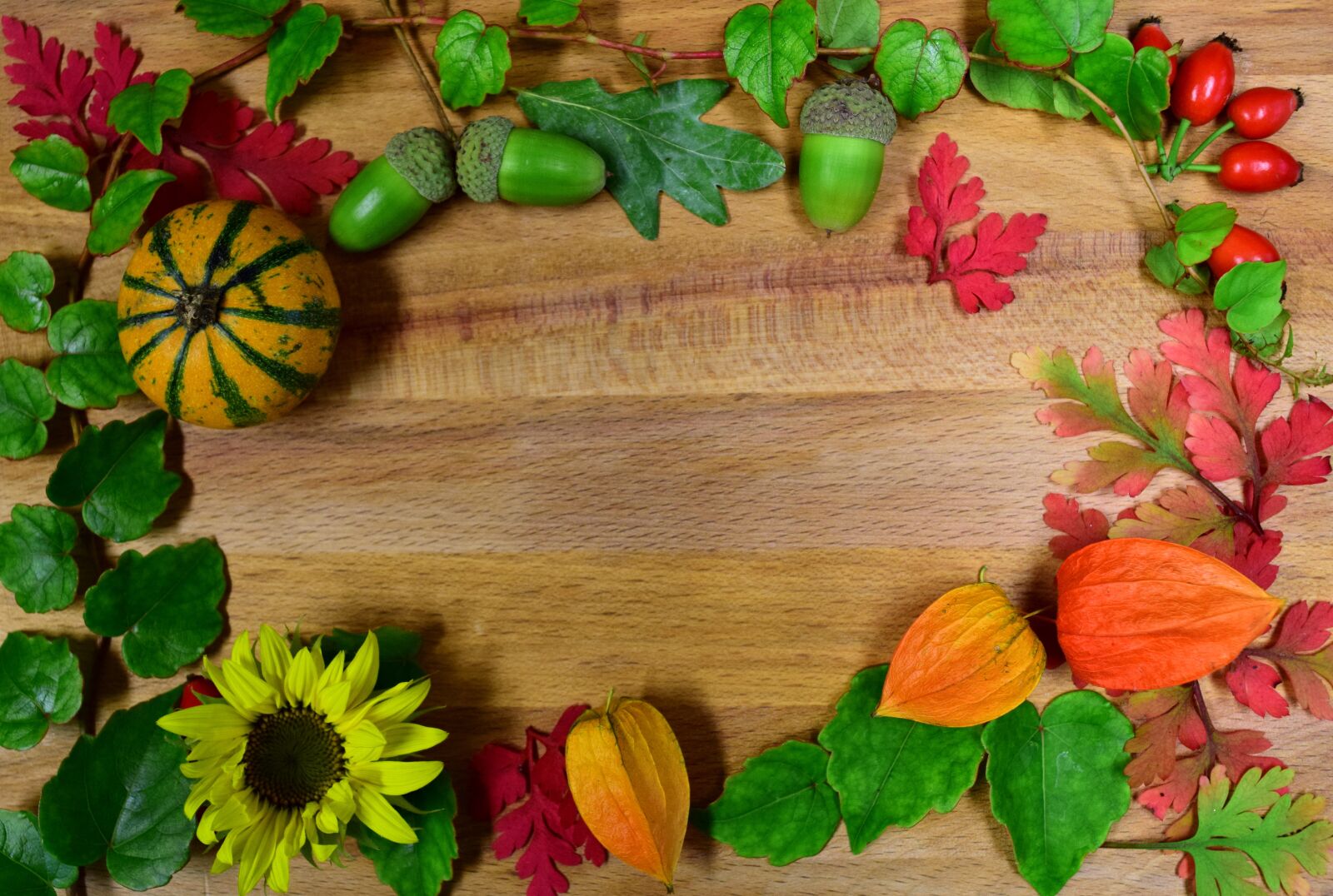 Nikon D3300 sample photo. Autumn, frame, text box photography