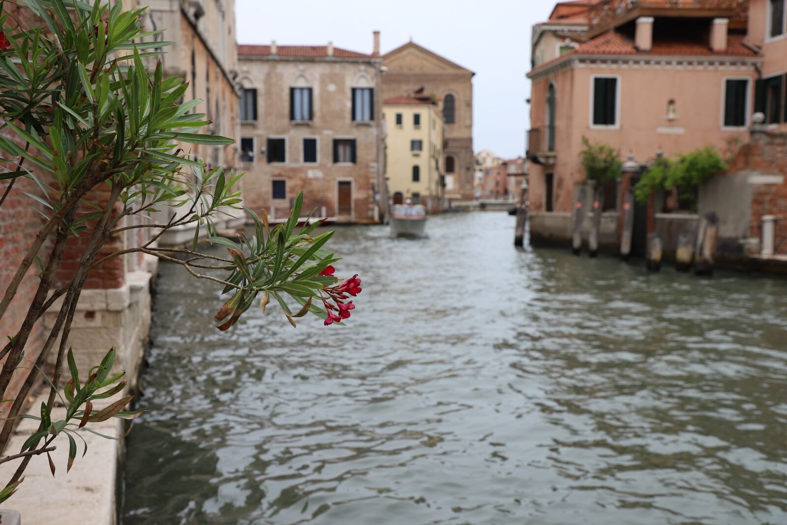 Canon EF 24-105mm F4L IS II USM sample photo. Venice, channel, italy photography