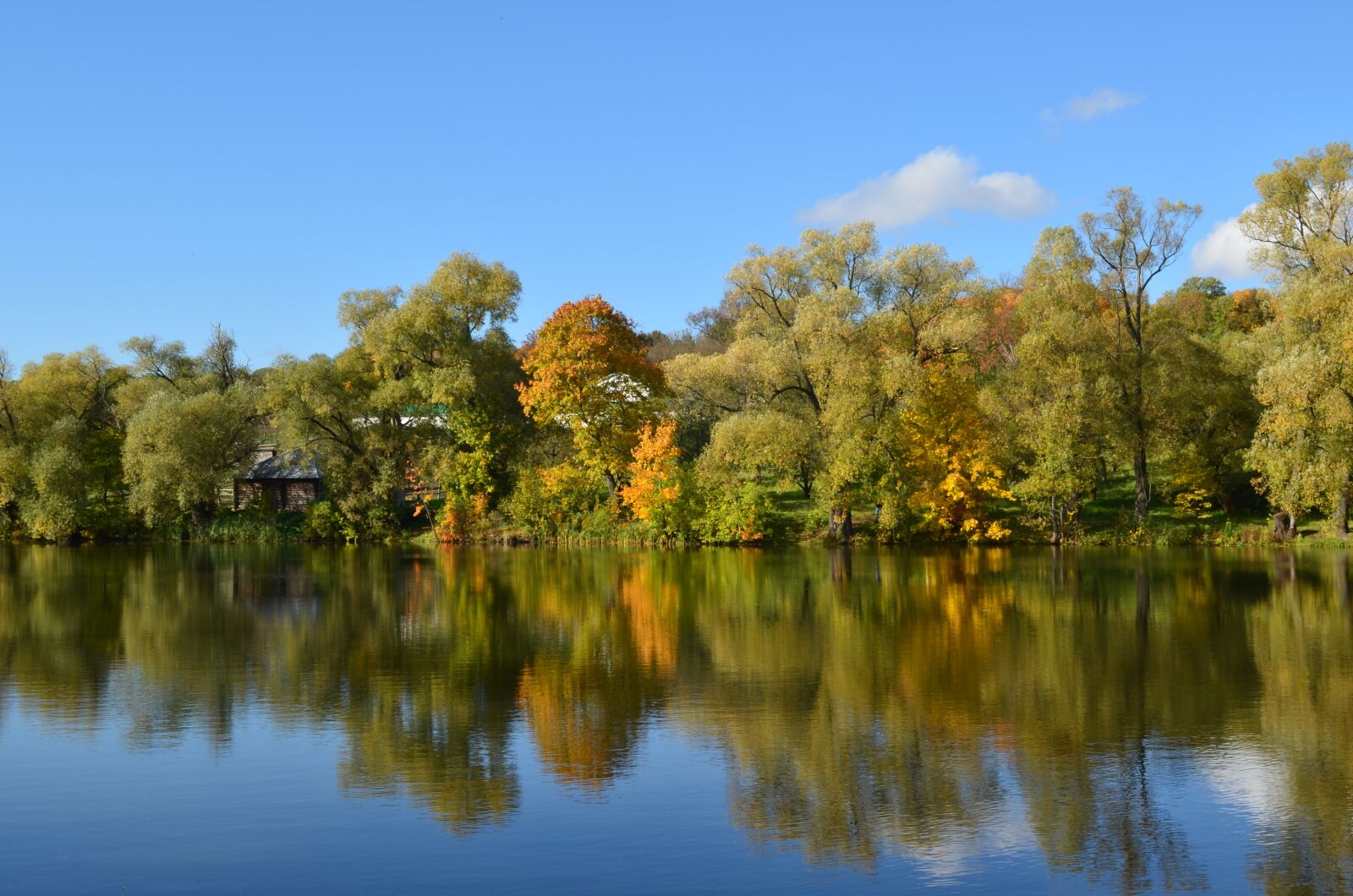 Nikon D5100 sample photo. Nature, reflection, water photography