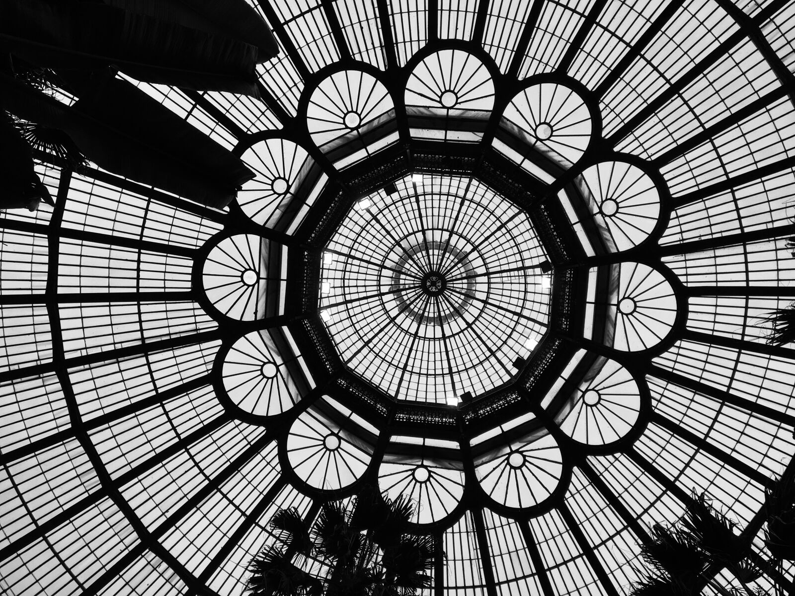 Apple iPhone 6s sample photo. Brussels, botanical garden, roof photography