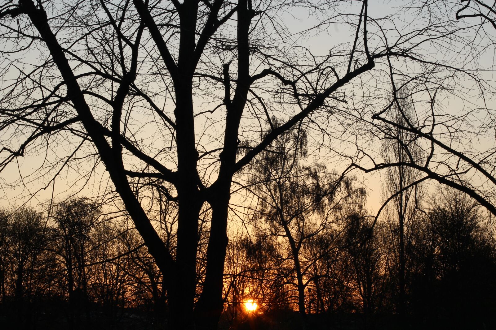 Canon EF 50mm F1.4 USM sample photo. Sun, sunrise, star photography