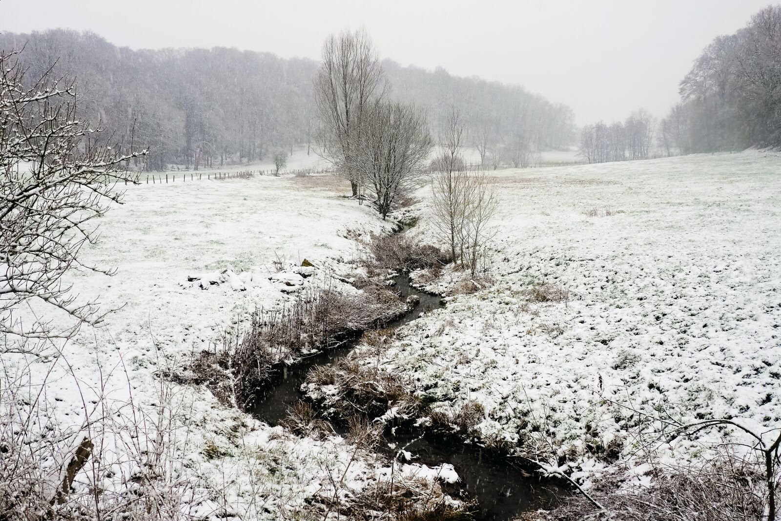 Olympus OM-D E-M10 sample photo. Landscape, winter, bach photography