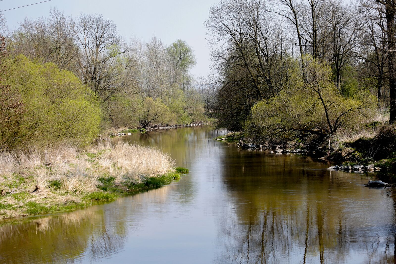 Canon EF 100-400mm F4.5-5.6L IS USM sample photo. Nature, rott, river photography