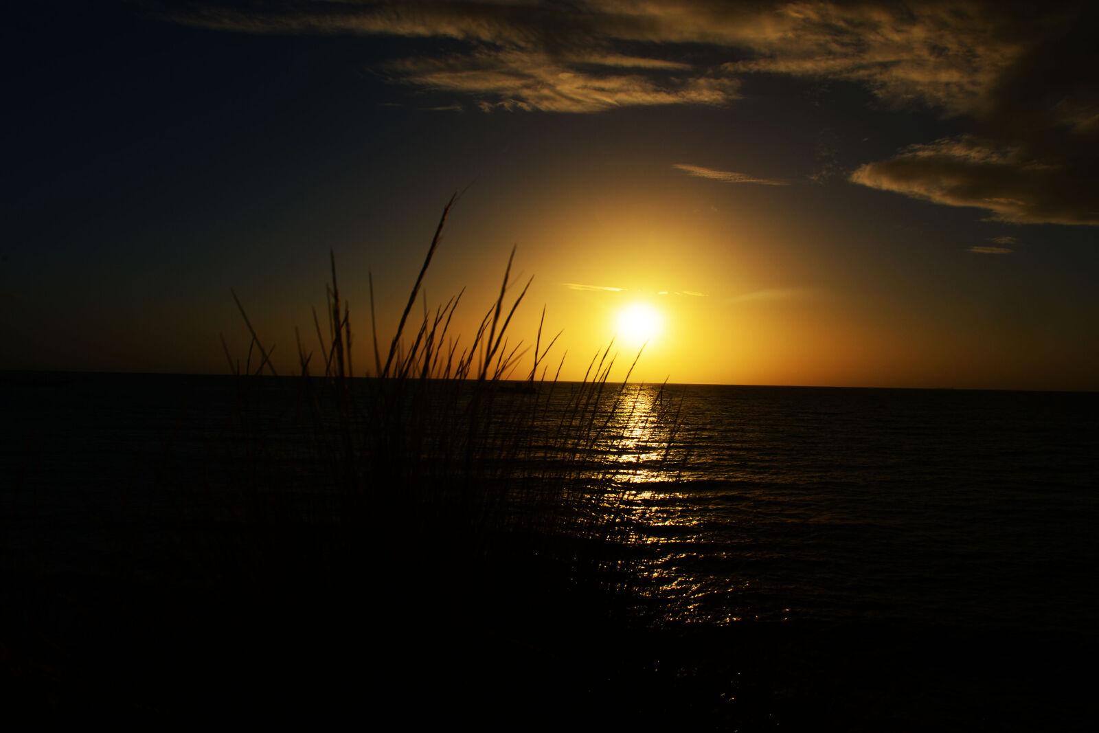 Nikon D610 sample photo