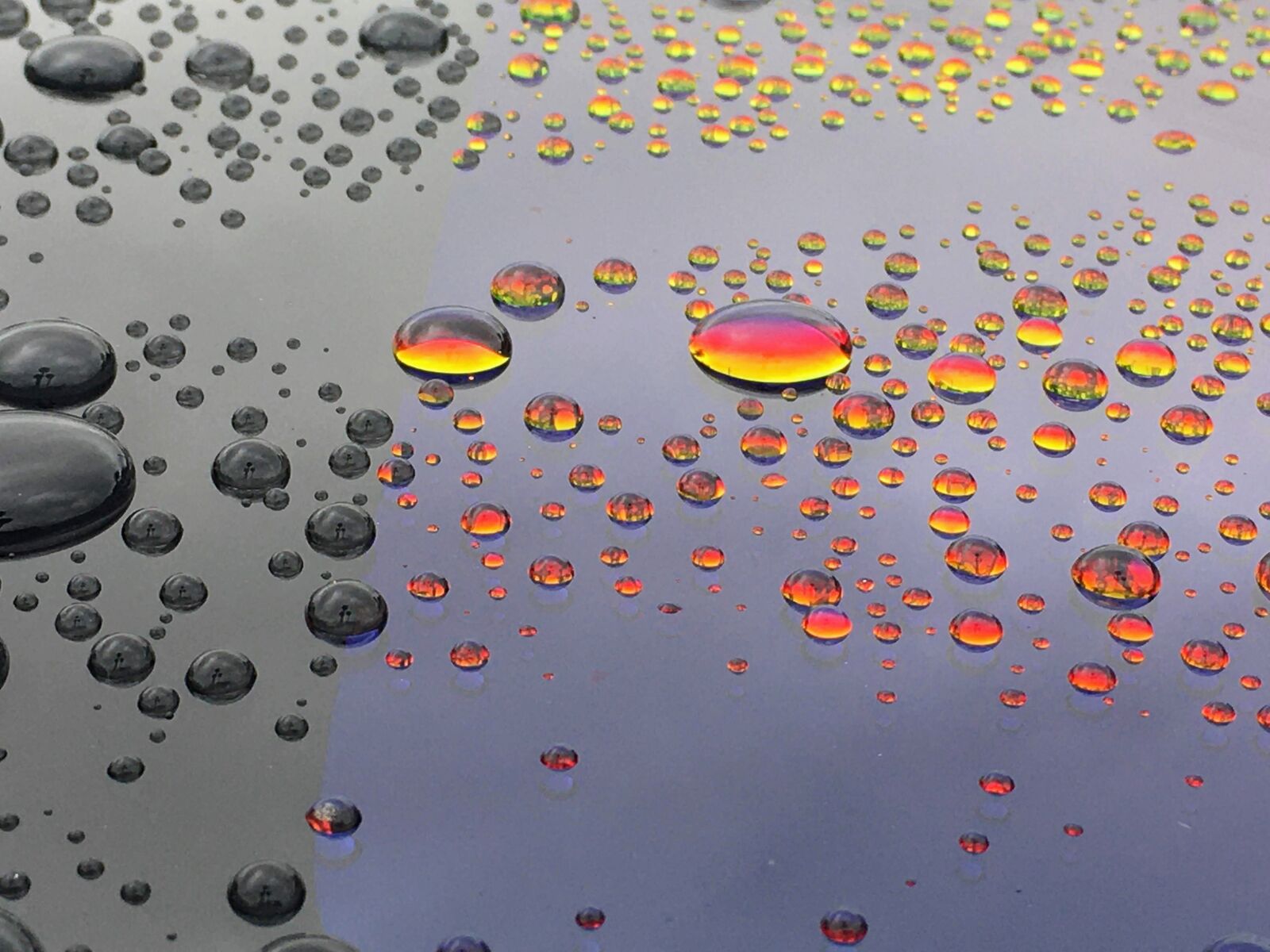 iPhone 6s Plus back camera 4.15mm f/2.2 sample photo. Water drops, splash, rain photography