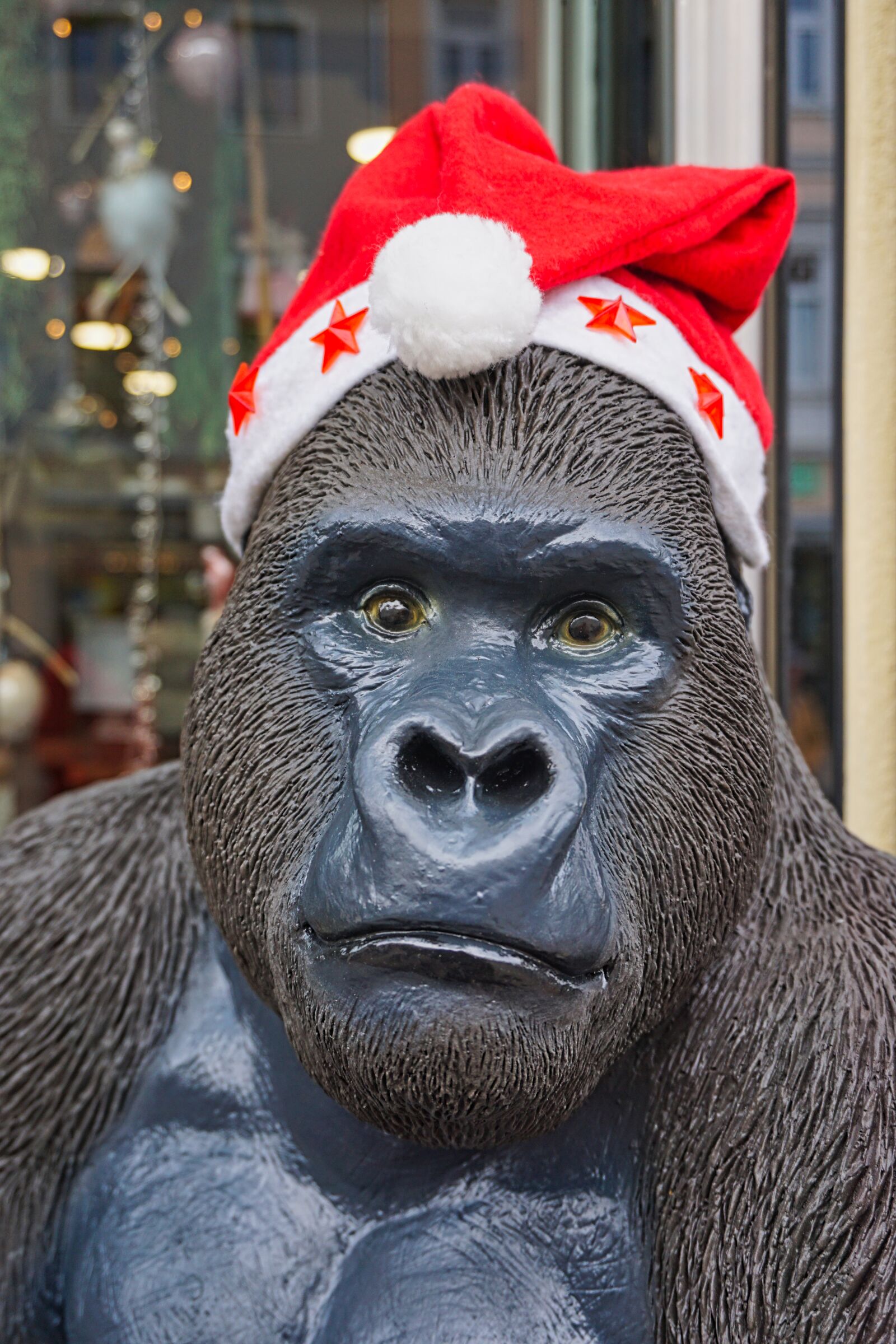 Sony E 16-50mm F3.5-5.6 PZ OSS sample photo. Gorilla, decoration, santa hat photography