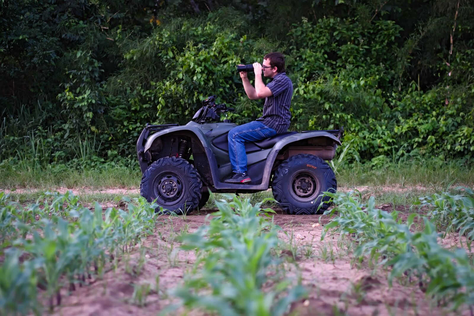 Nikon D7200 sample photo. Person, corn rows, field photography