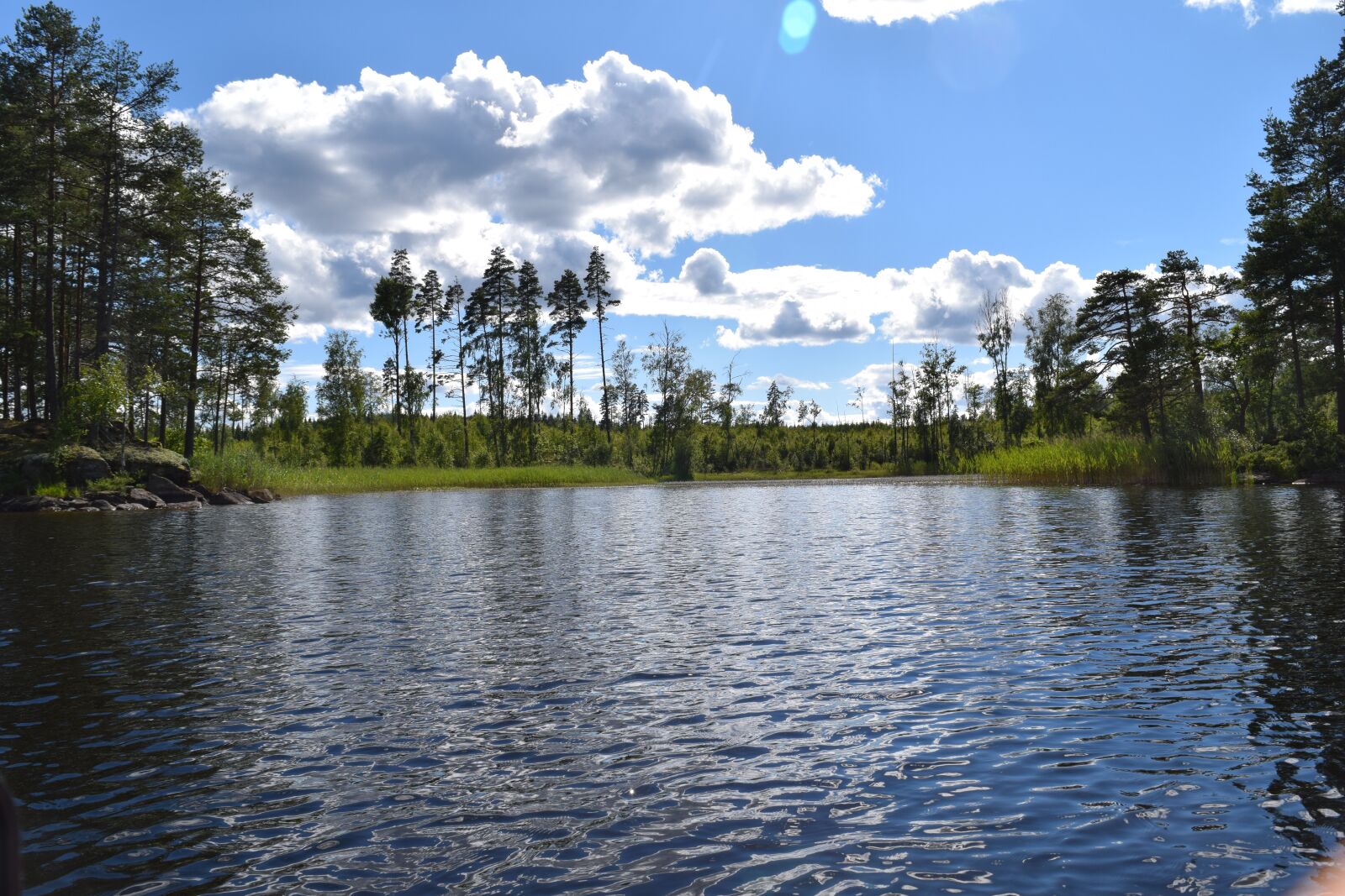 Nikon D5300 sample photo. Sweden, the middle of photography