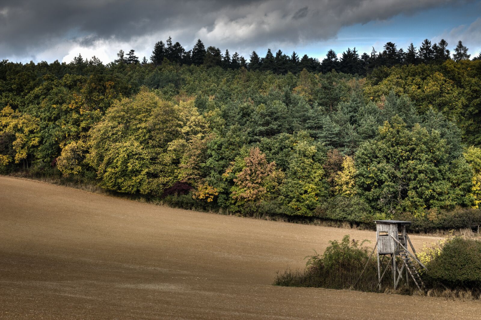 Canon EOS 700D (EOS Rebel T5i / EOS Kiss X7i) sample photo. Field, lookout, forest photography