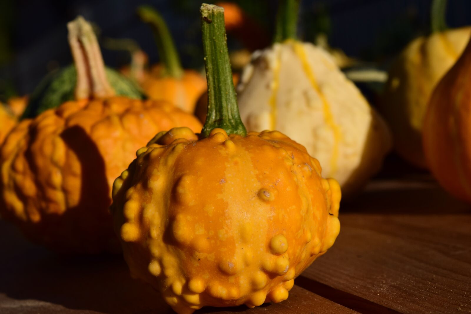 Nikon D3300 sample photo. Decorative squashes, pumpkins, yellow photography