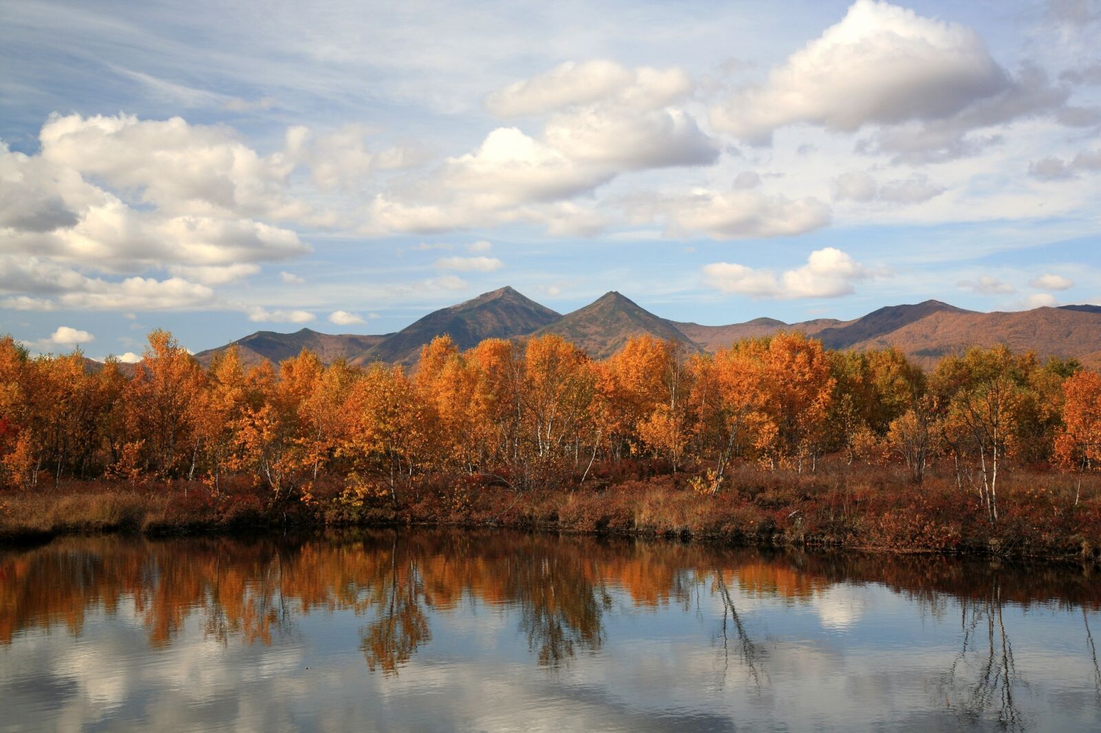 Canon EOS 5D sample photo. Autumn, forest, lake photography