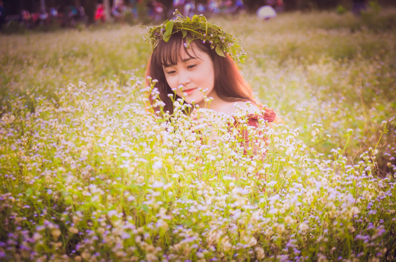 Nikon D5100 sample photo. Girl, beautiful, flower garden photography