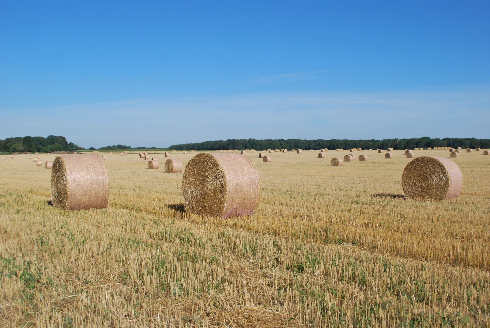 Nikon D60 sample photo. Straw, bundles, harvest photography