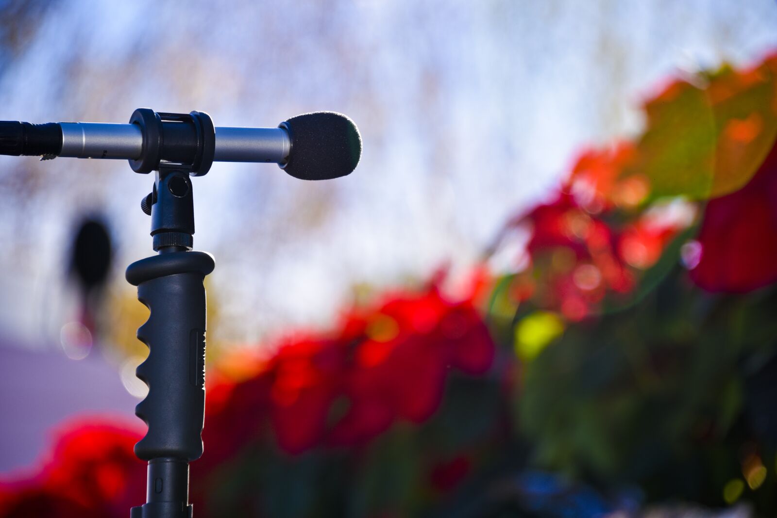 Nikon D750 sample photo. Microphone, concert, holiday photography