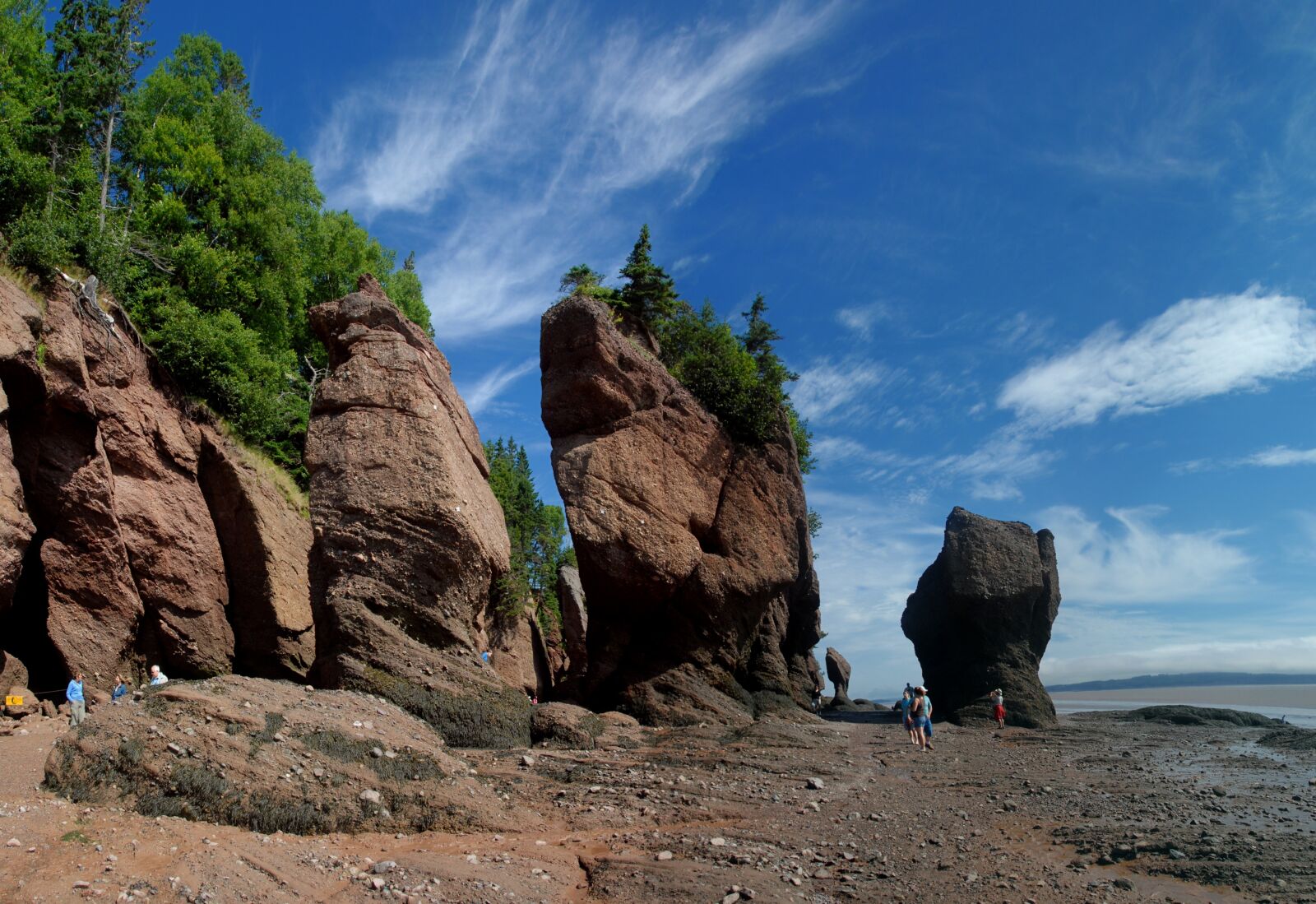 Nikon D200 sample photo. Hopewell rocks, seashore, coastline photography