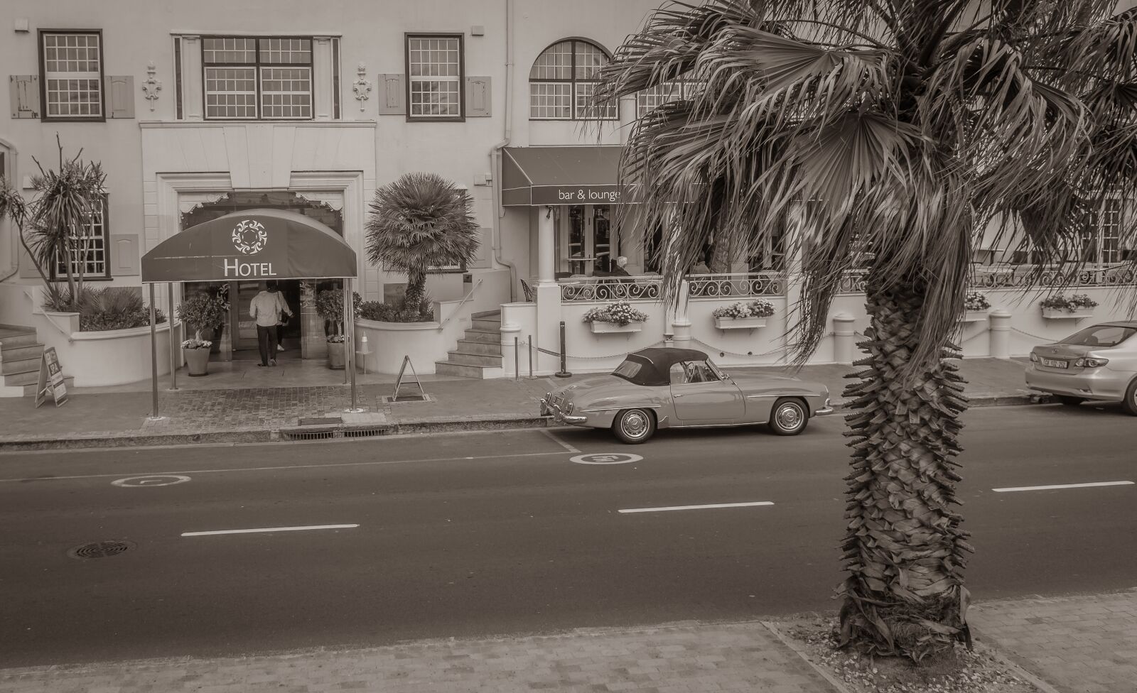Nikon D750 sample photo. South africa, cape town photography