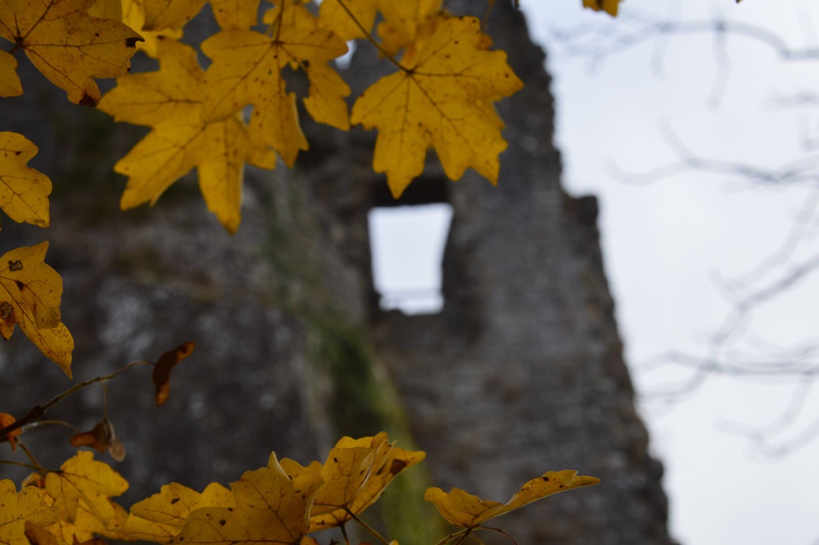 Nikon D3200 sample photo. Castle, autumn, medieval photography