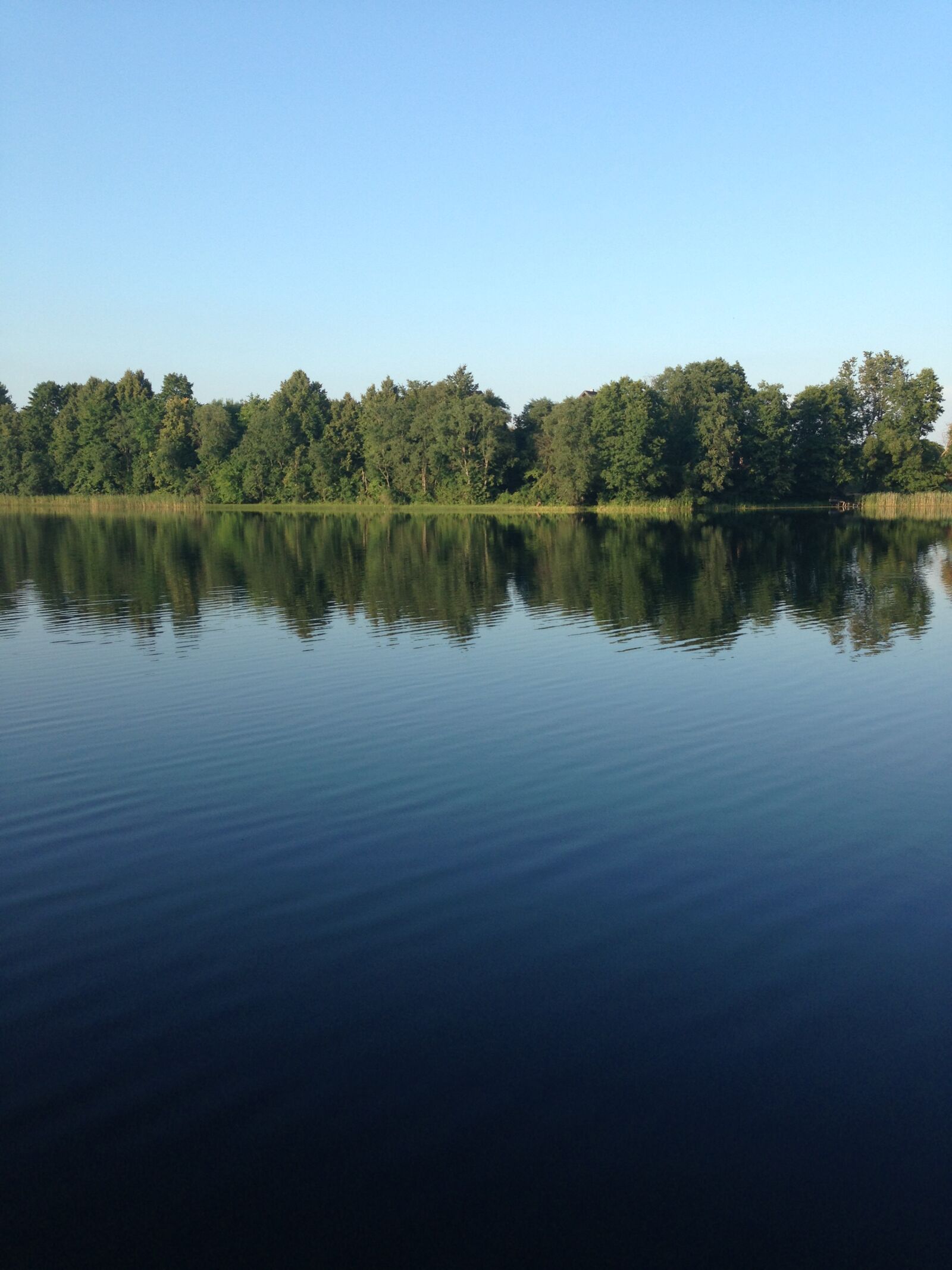 Apple iPhone 5 sample photo. Lake, trees, nature photography