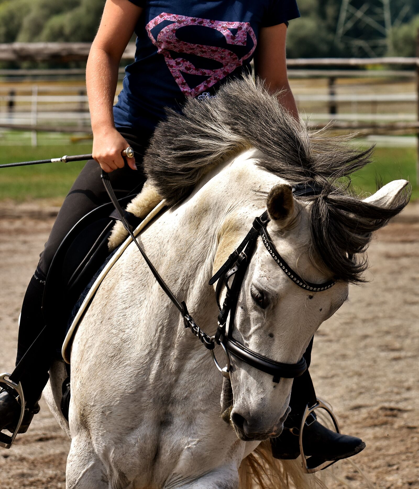 Nikon D7200 sample photo. Mold, horse, ride photography