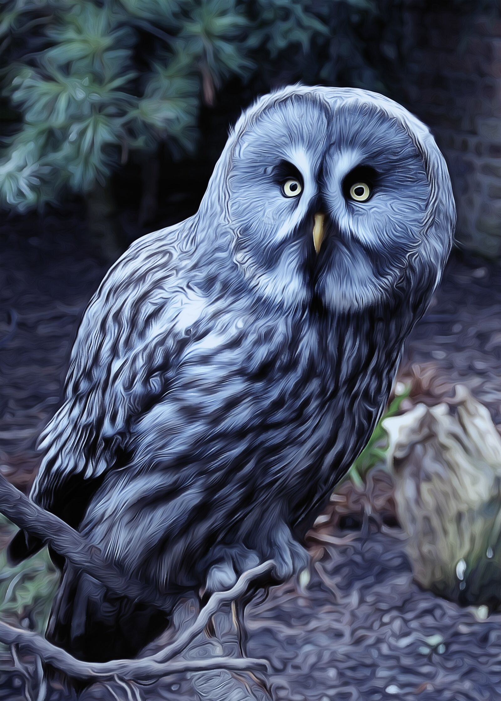 Nikon D300 sample photo. Owl, bird, night bird photography