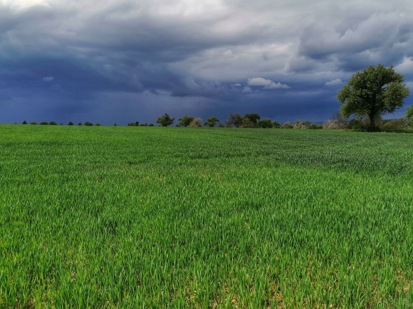 HUAWEI P30 LITE sample photo. Field, thunderstorm, storm photography