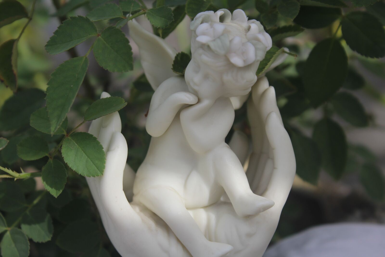 Canon EOS 1200D (EOS Rebel T5 / EOS Kiss X70 / EOS Hi) sample photo. Mother love, baby care photography