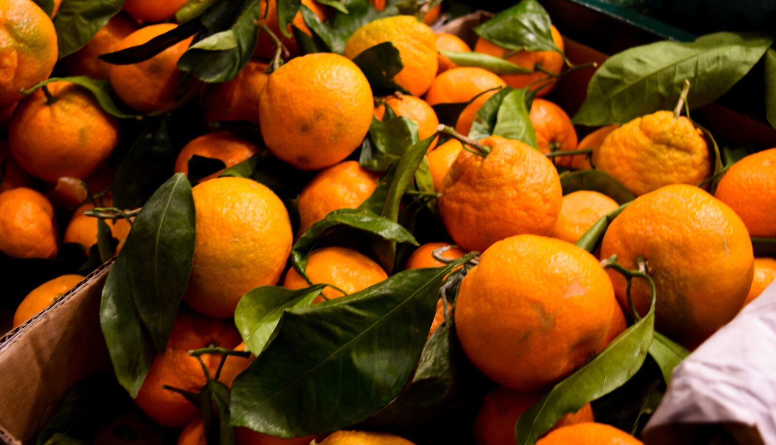 Nikon D7200 sample photo. Fruit, food, citrus photography