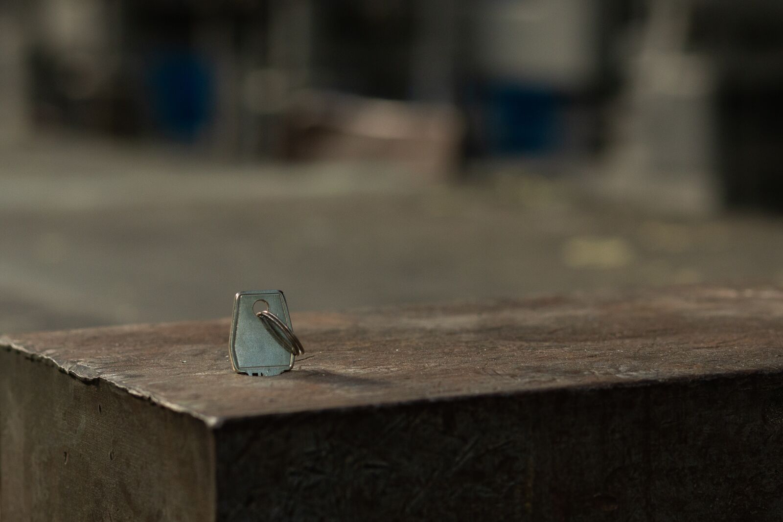 Canon EF 85mm F1.8 USM sample photo. Key, plant, atmosphere photography