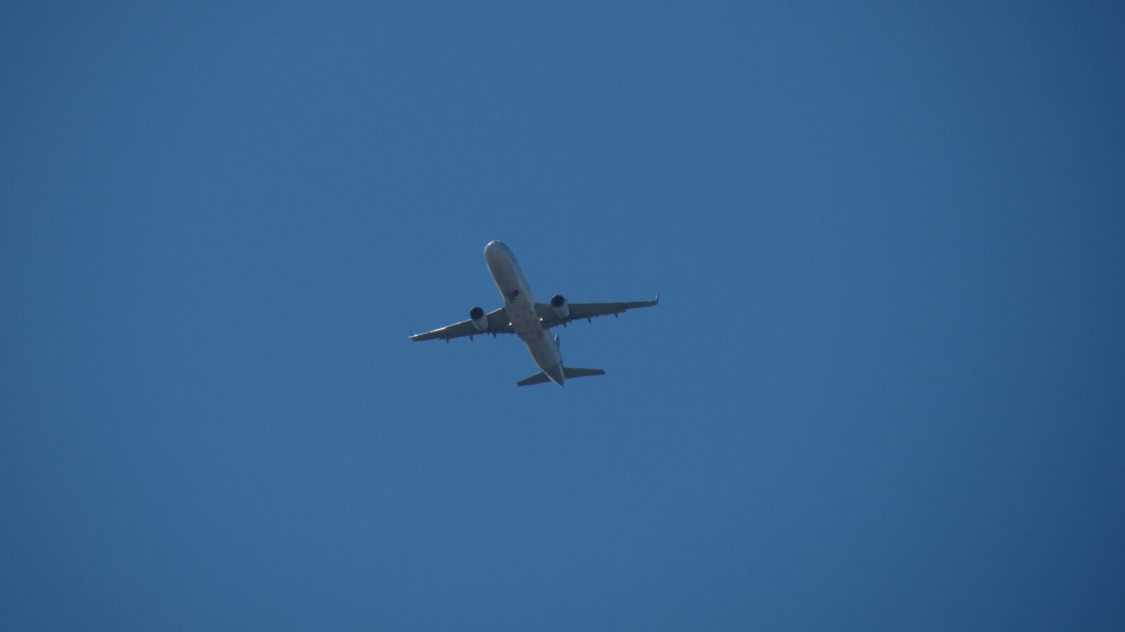 Canon PowerShot SX40 HS sample photo