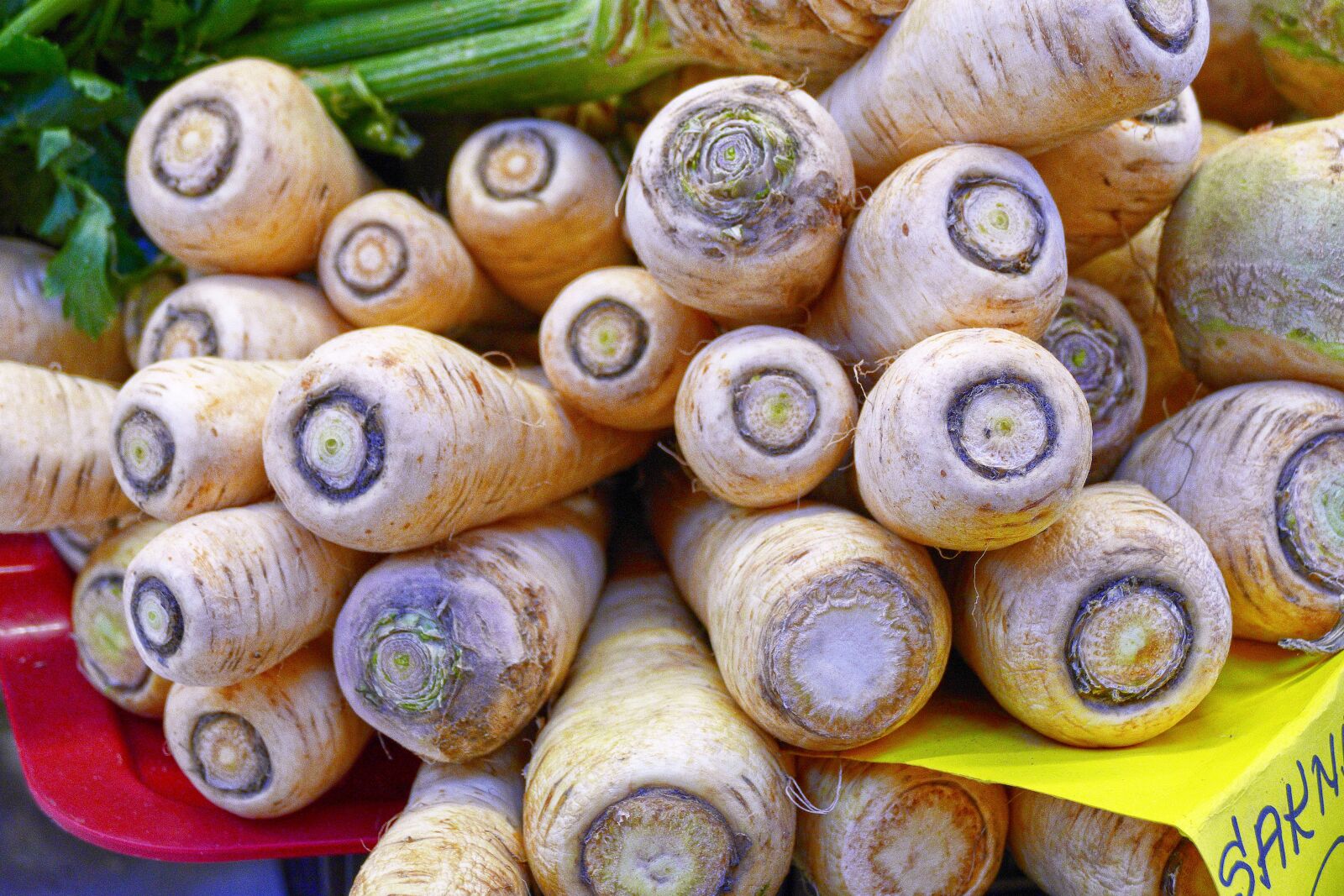 Panasonic Lumix DMC-FZ1000 sample photo. Parsnips, root vegetables, beets photography