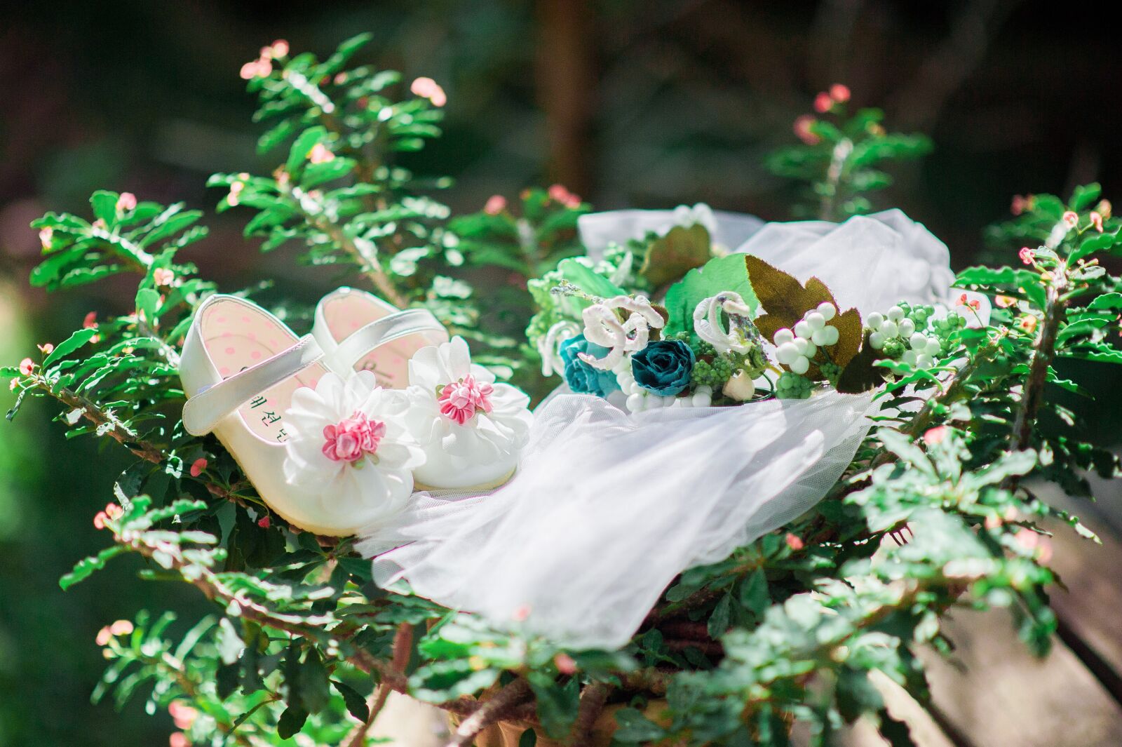 Nikon D700 sample photo. Baby, shos, sweet photography