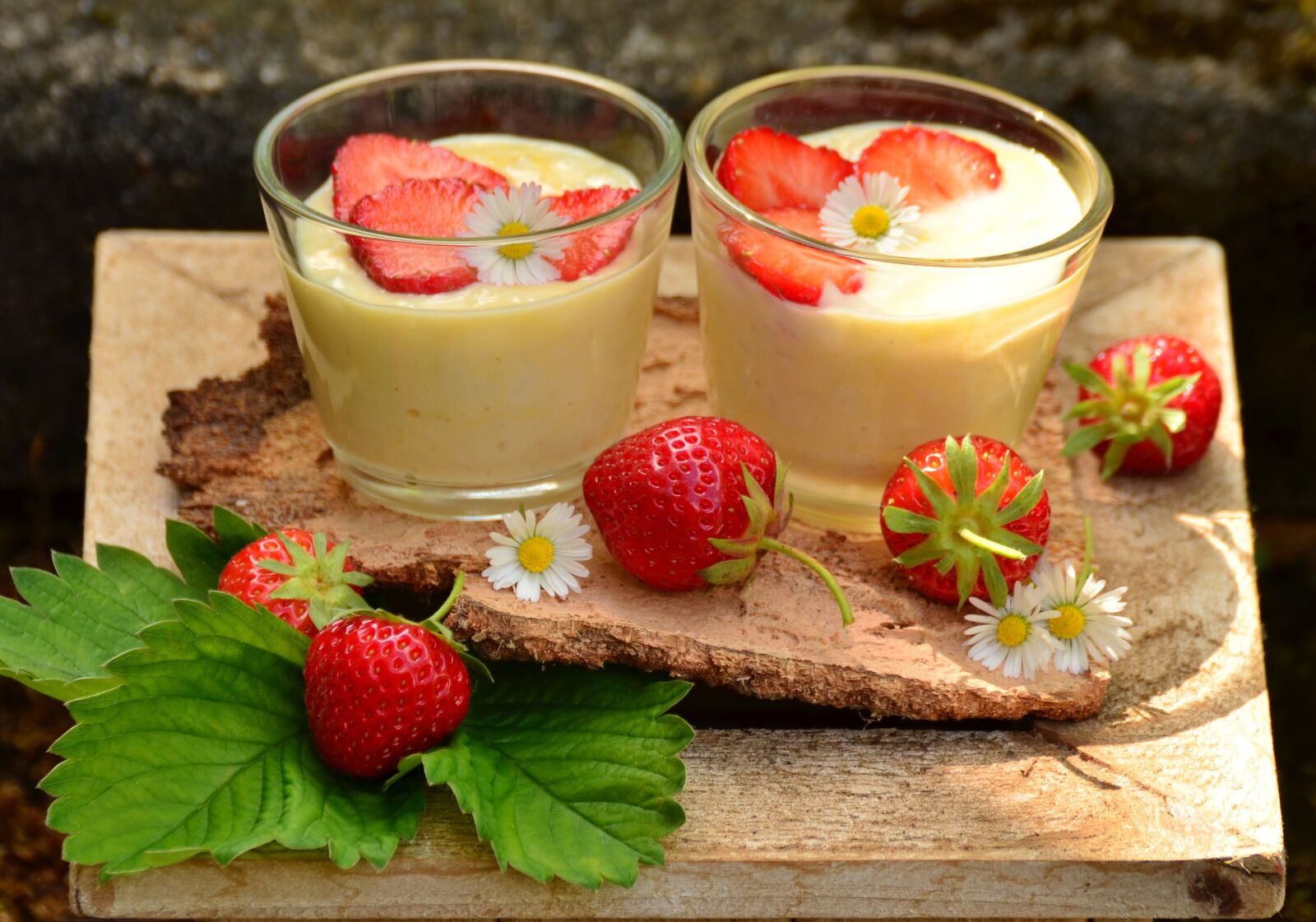 Nikon D5100 sample photo. Strawberries, strawberry dessert, vanilla photography