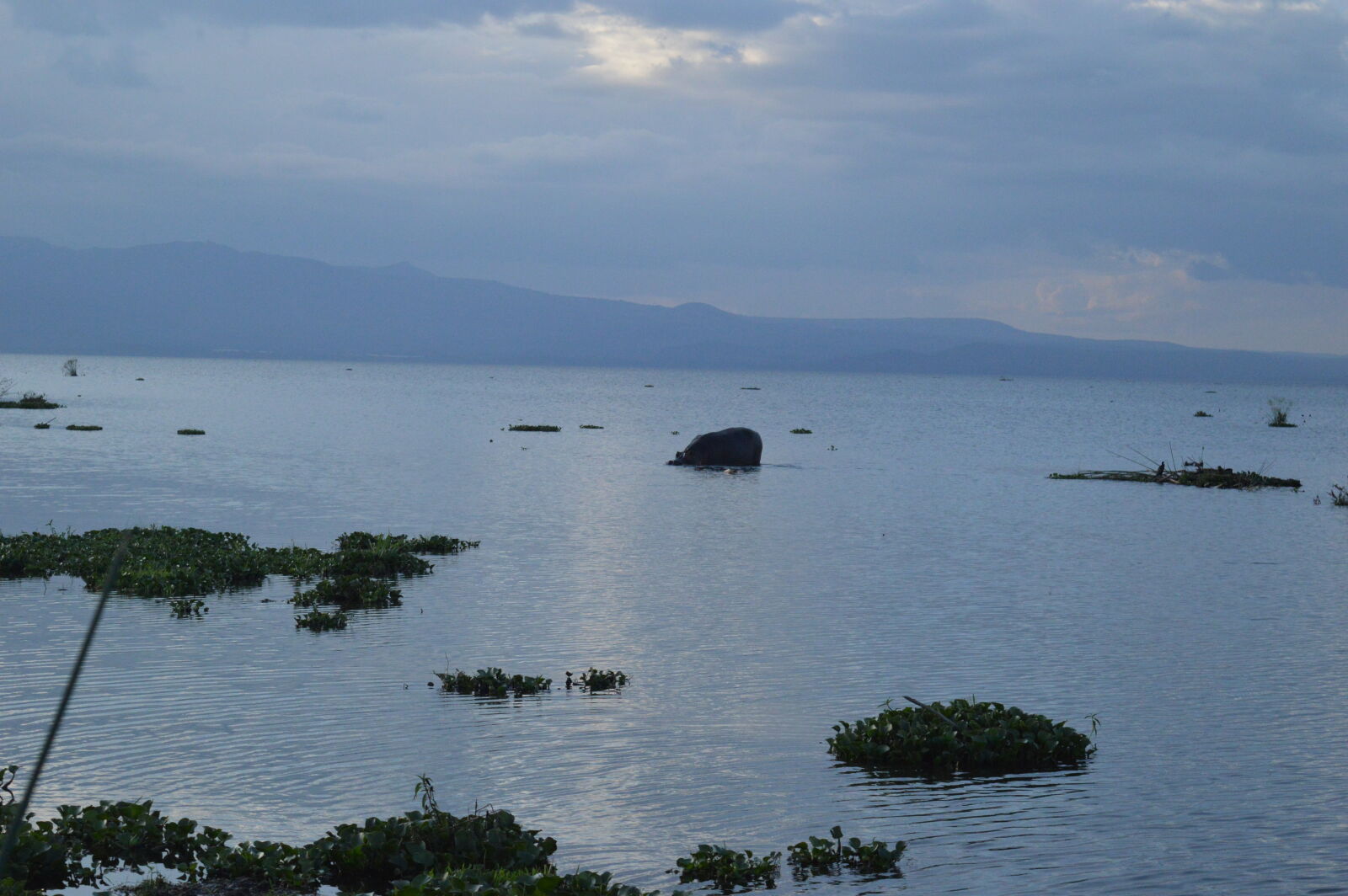 Nikon D3200 sample photo. Lake, tropical, lake, water photography