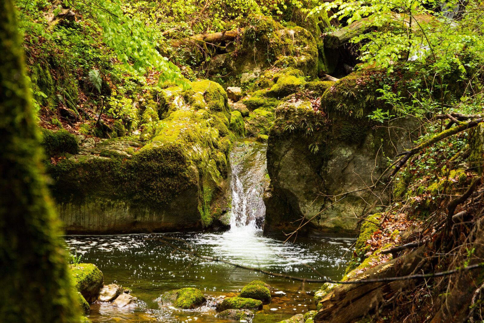 Canon EOS 6D Mark II sample photo. Waterfall, mountain stream, green photography