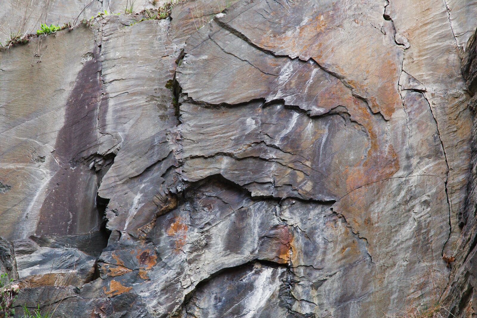 Canon EOS 6D sample photo. Nature, rau, background photography